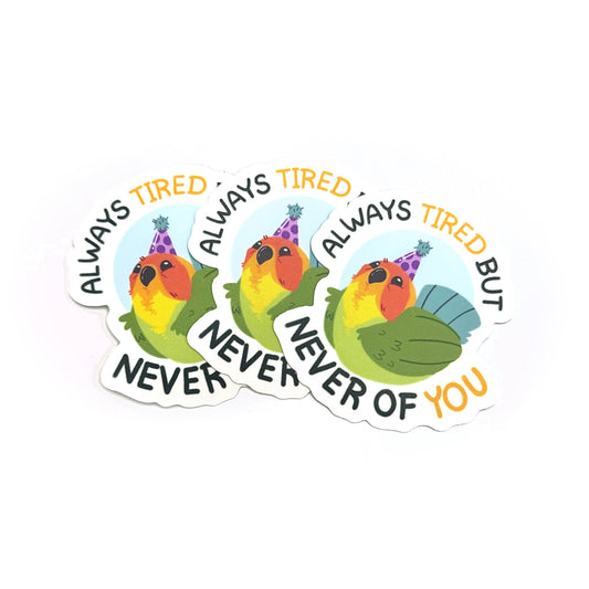 Always Tired But Never of You Conure Sticker