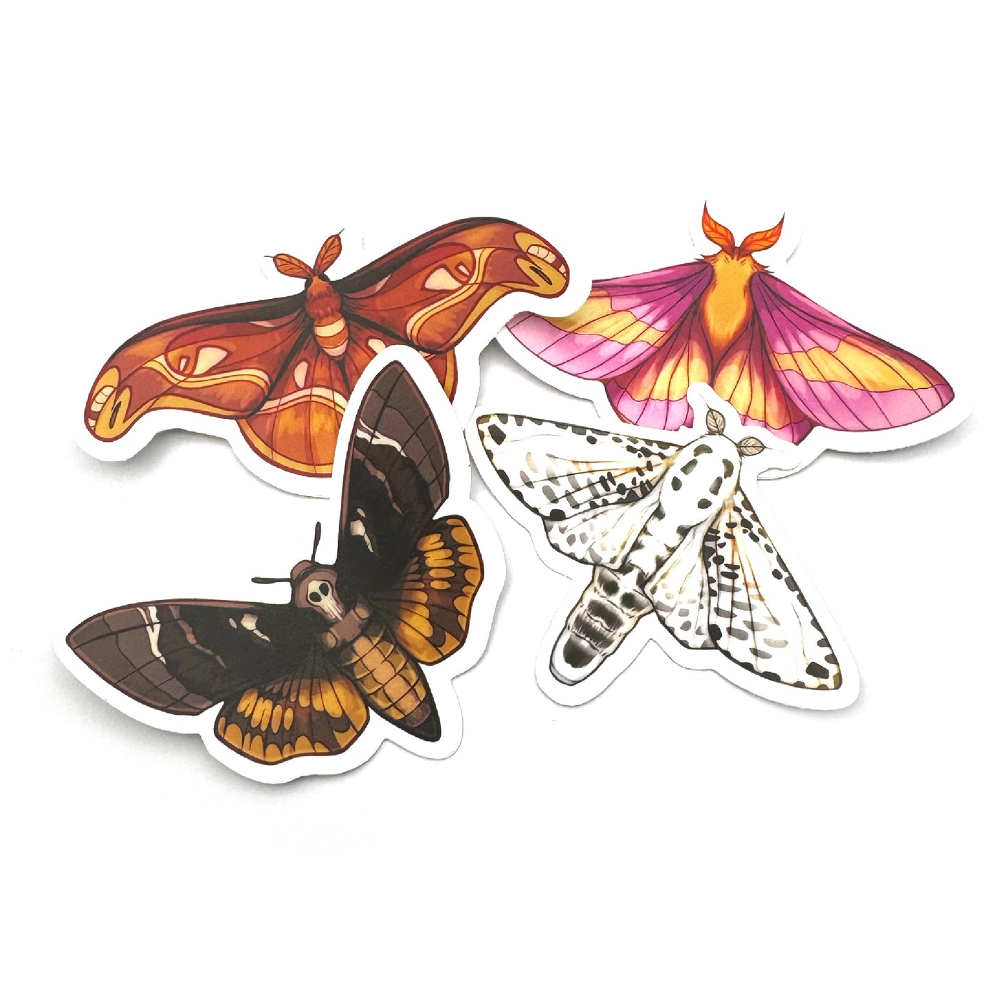 Moth Menagerie Sticker Set (4 Count)