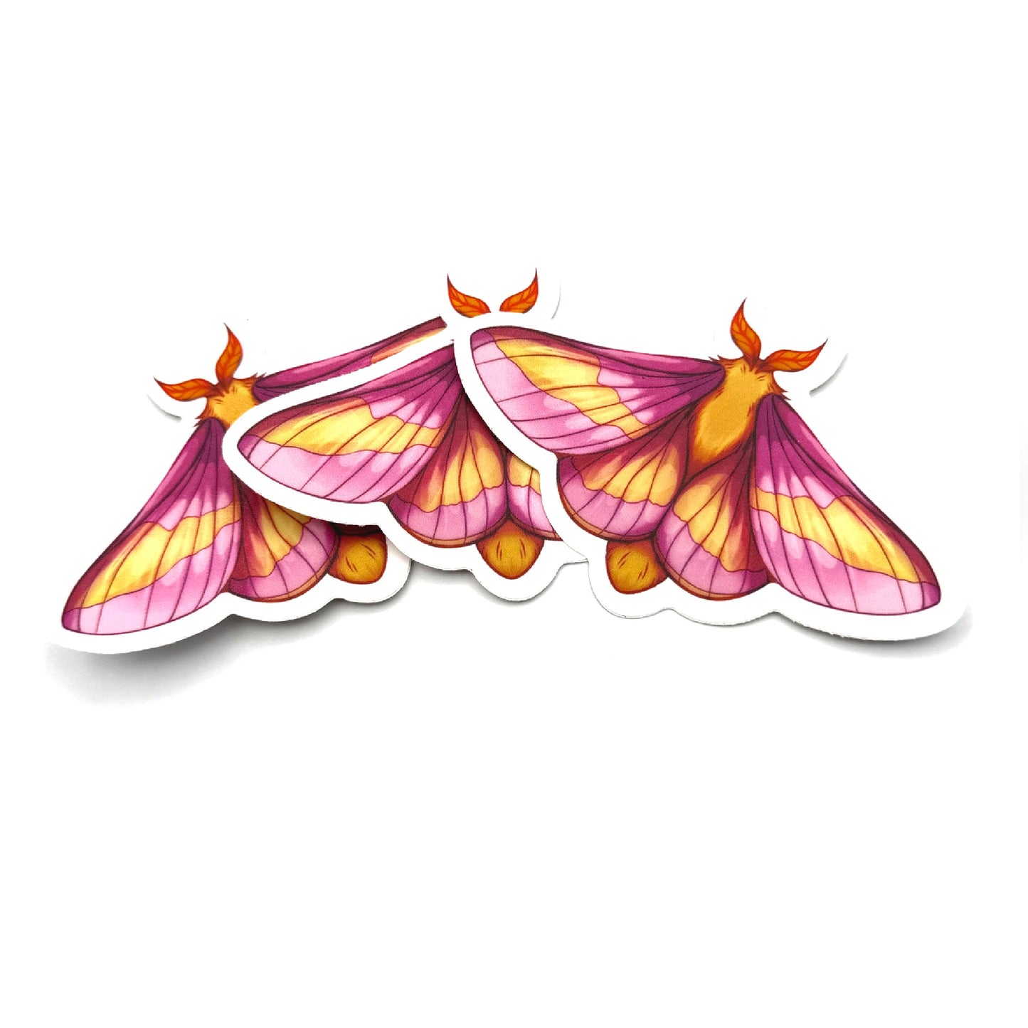 Moth Menagerie Sticker Set (4 Count)