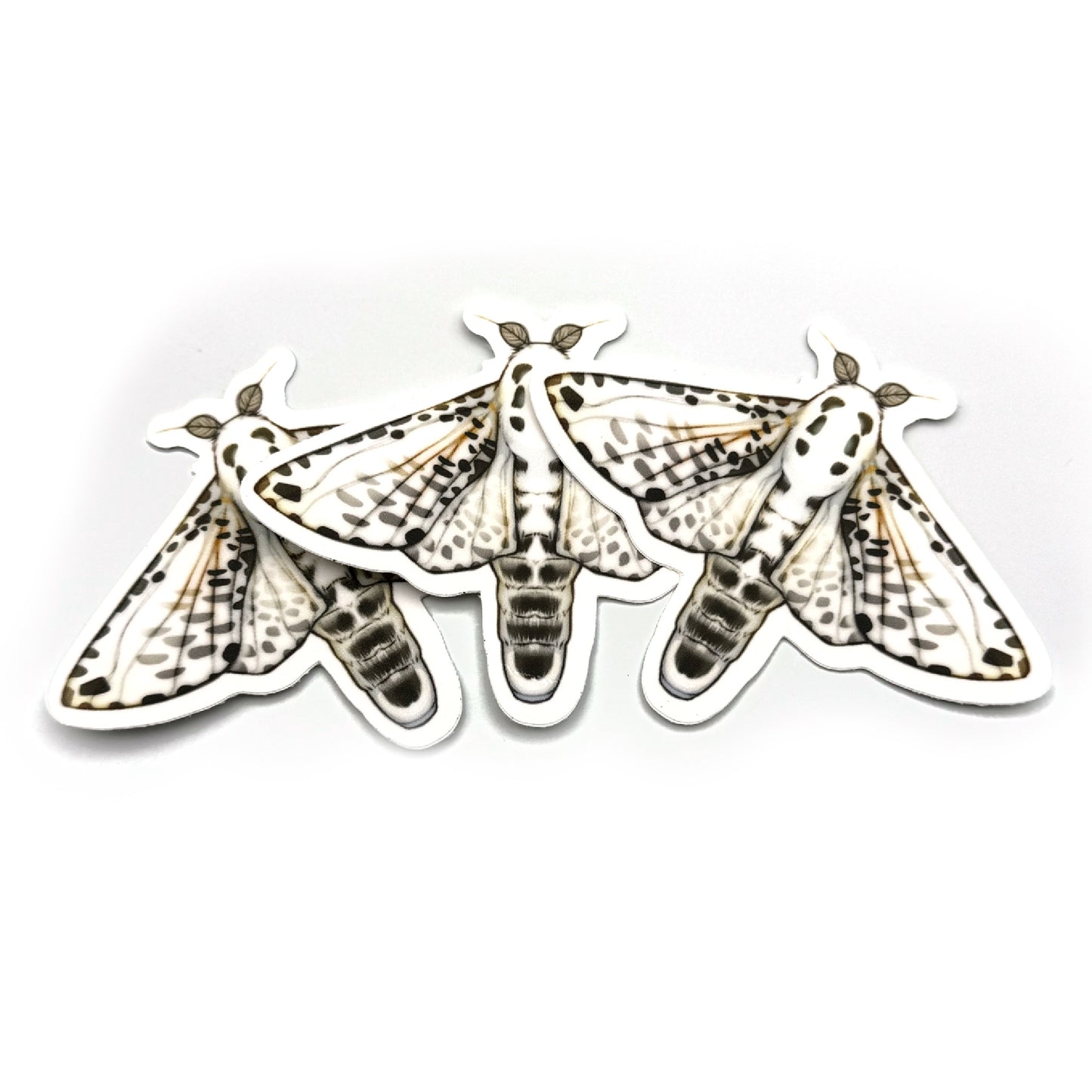 Moth Menagerie Sticker Set (4 Count)