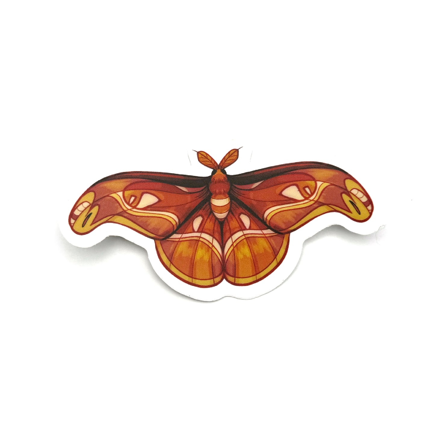 Moth Menagerie Sticker Set (4 Count)