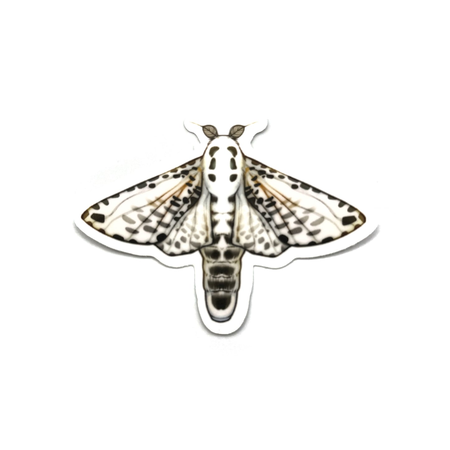 Moth Menagerie Sticker Set (4 Count)