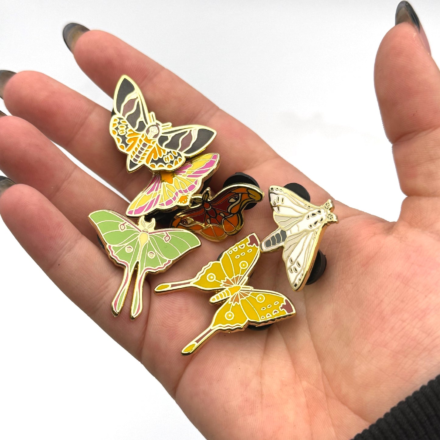 Moth Menagerie Enamel Pin Set (6 Count)